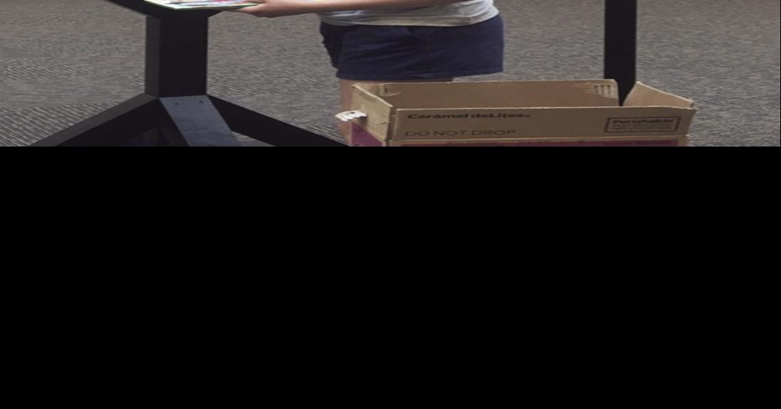 Motherdaughter duo aims to fill Little Free Libraries in Coon Rapids