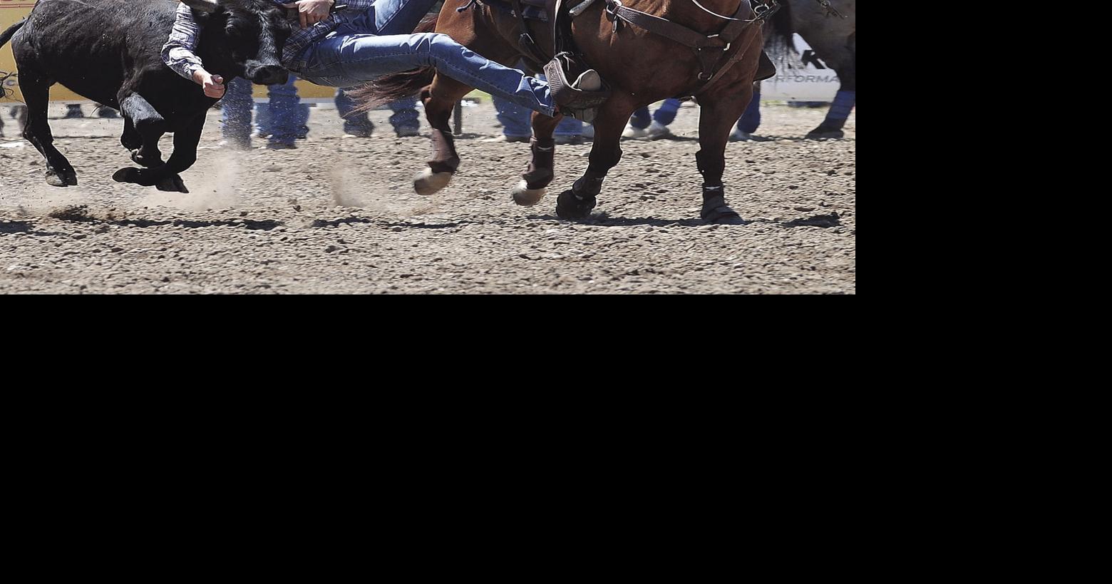 Hamel Rodeo returns to Corcoran Lions Park, July 11 - 14 | Corcoran ...