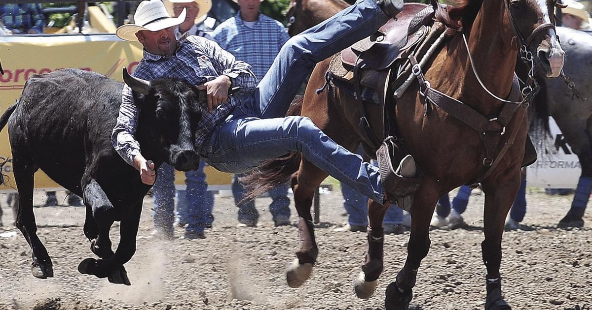 Hamwl Rodeo Hamel Rodeo returns to Corcoran Lions Park, July 11 - 14 | Corcoran ...