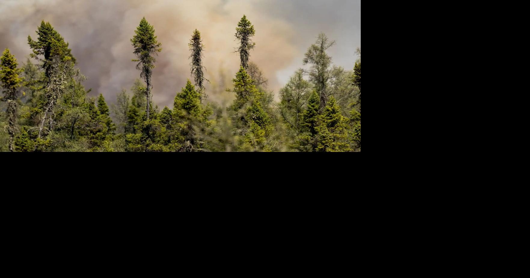 Smoke billows in the sky