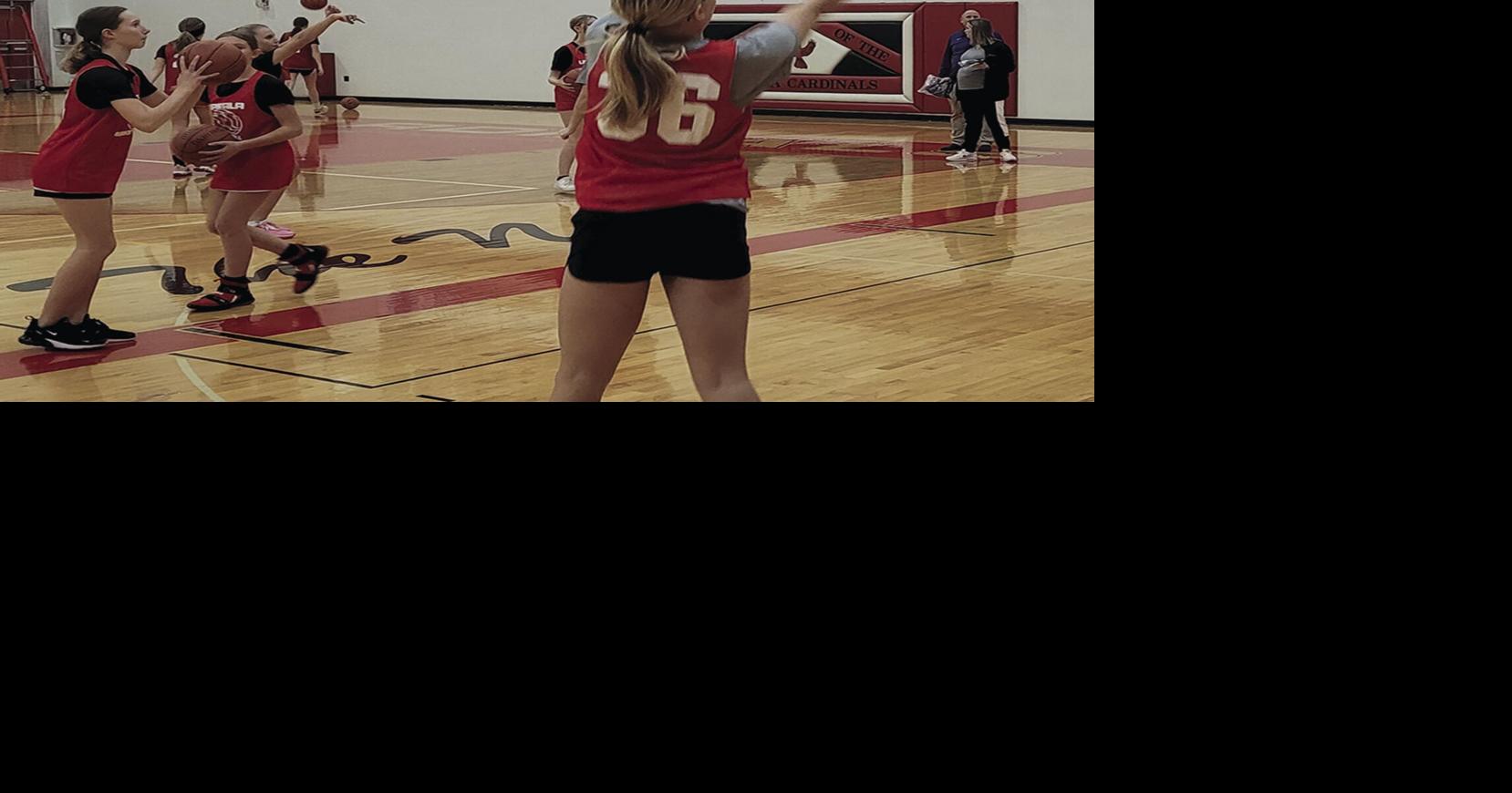 Upsala Cardinals looking to adjust and improve this basketball season