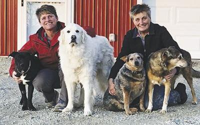 Rivers Edge Pet Crematorium Business Hometownsource Com