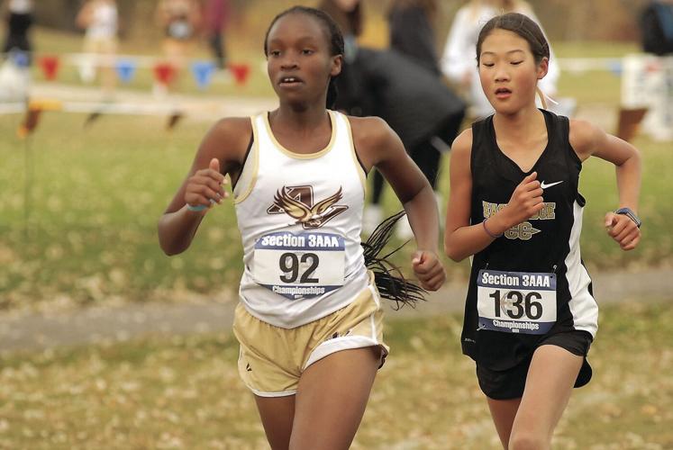 Rosemount pack breezes to Section 3 boys cross country title Sports
