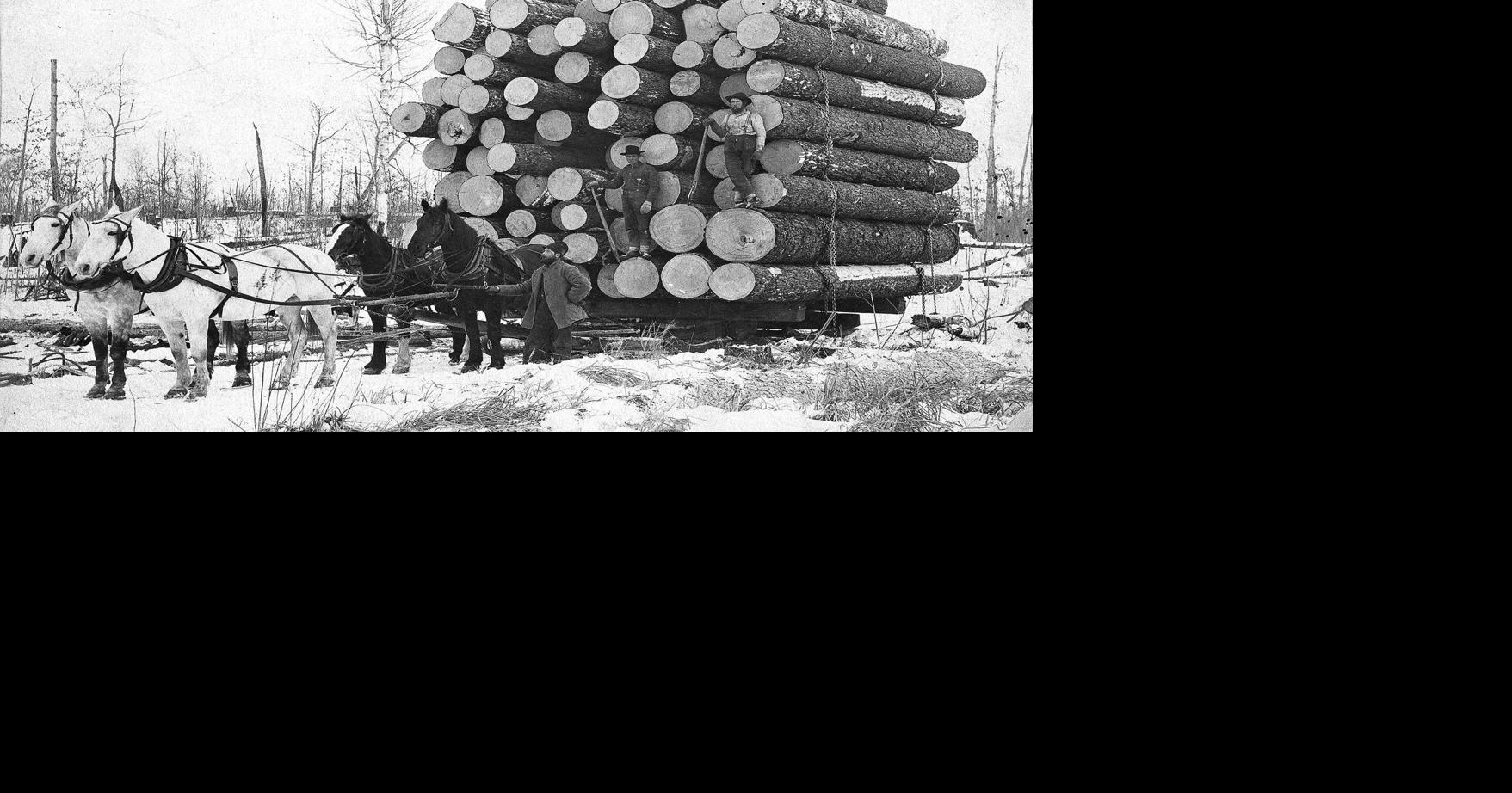 HISTORY: Lumbering through the winter | Columnists | hometownsource.com