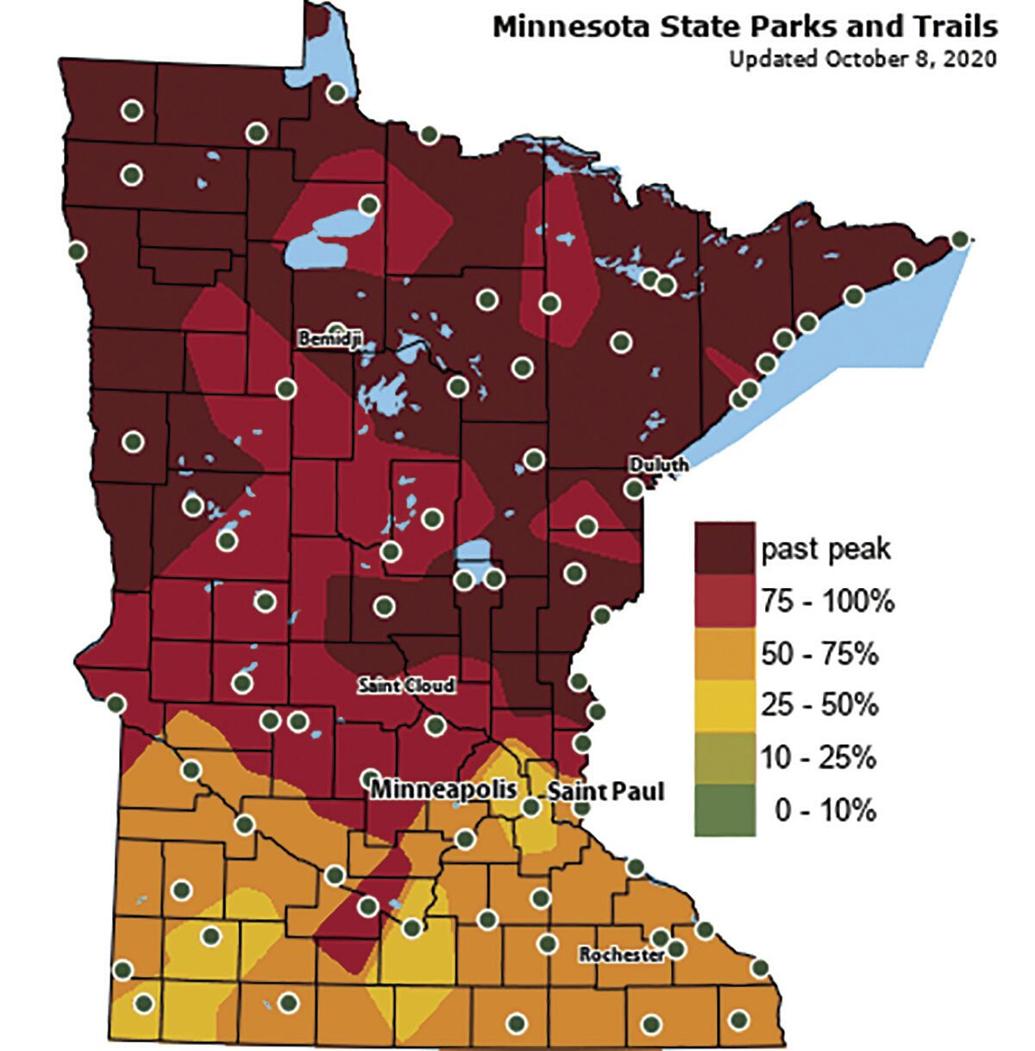 DNR report Fall color has rapidly spread to metro area Free