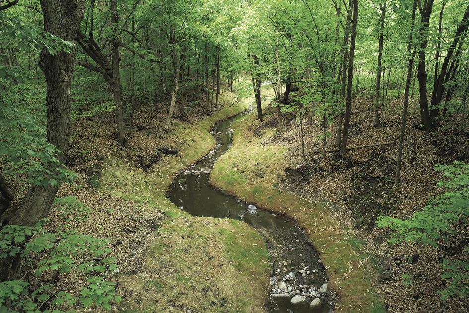 Re-do of Baker Park ravine designed to improve Lake Independence water quality - ECM Publishers
