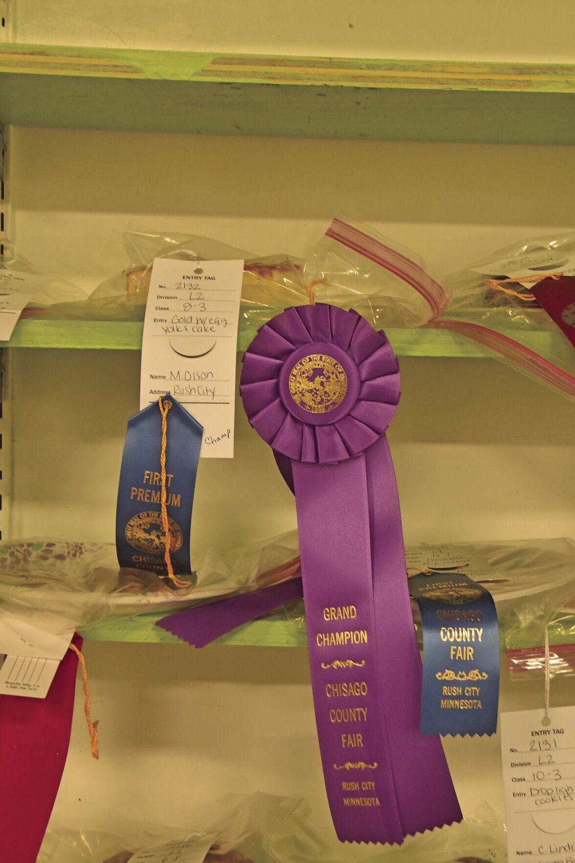 Chisago County Fair 2022