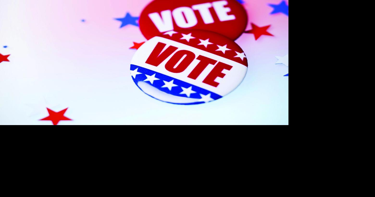 VOTERS GUIDE: Maple Grove voters to elect mayor, 2 City Council members