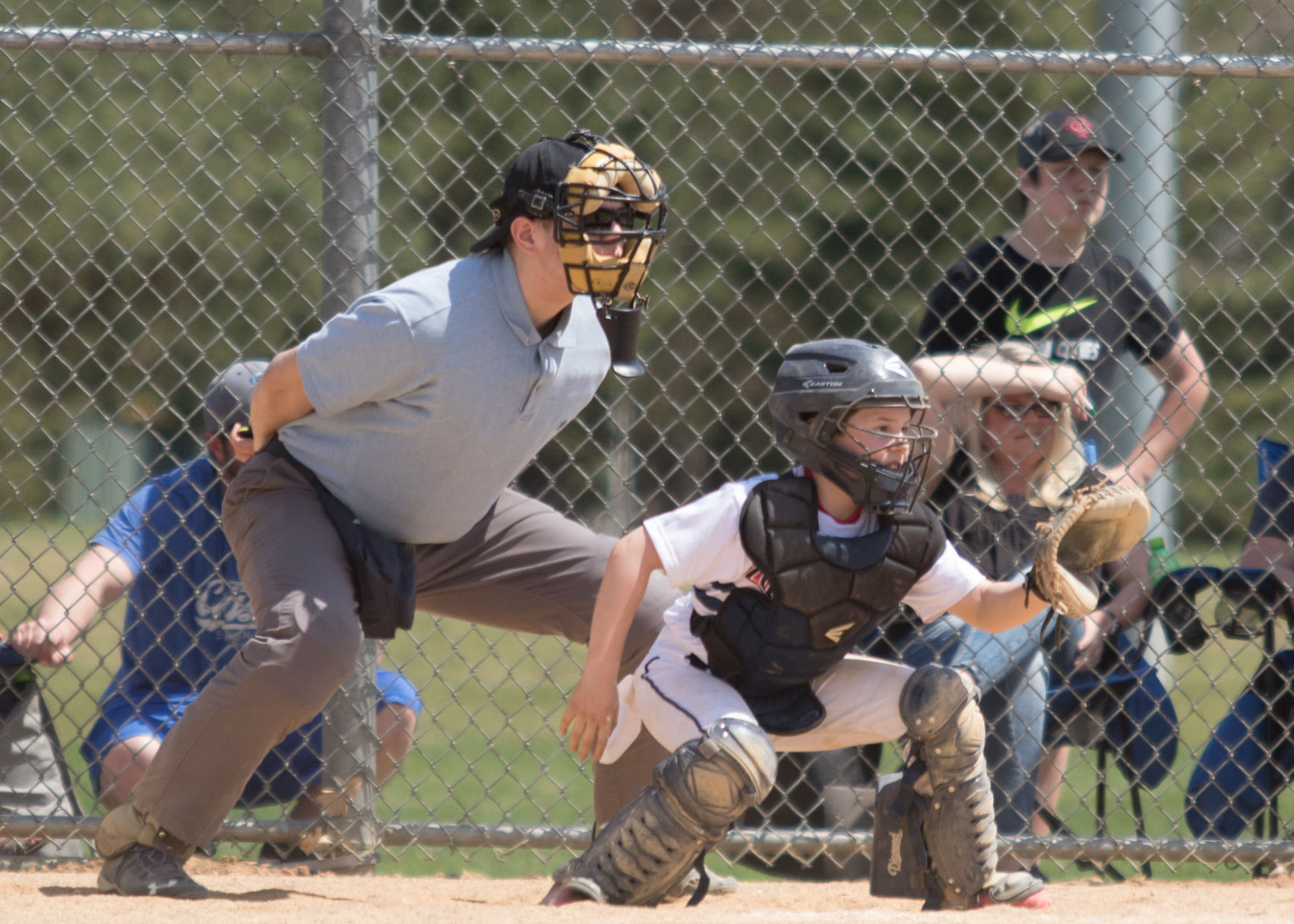 elk river star news s