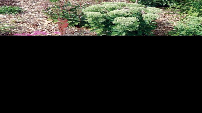 Richfield Honors Outstanding Landscaping Local News Hometownsource Com