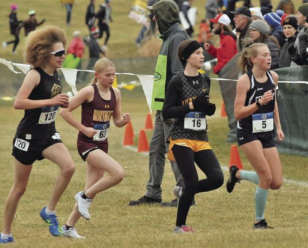 Cross country Eastview, Eagan girls teams compete at state Sports