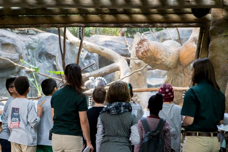 Rosemount-Apple Valley-Eagan District 196 third graders visit Minnesota Zoo