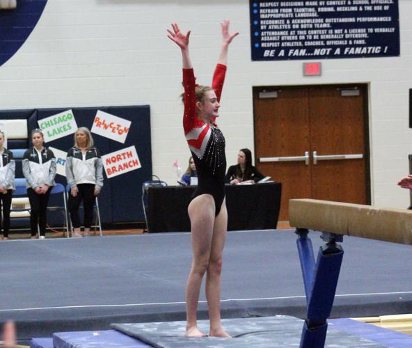 Wrestling, gymnastics teams have section meets Free