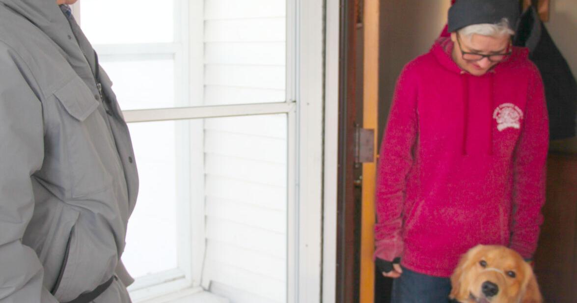 All aboard the D-Uber: Helping Paws offers pick-up services with dog transportation van