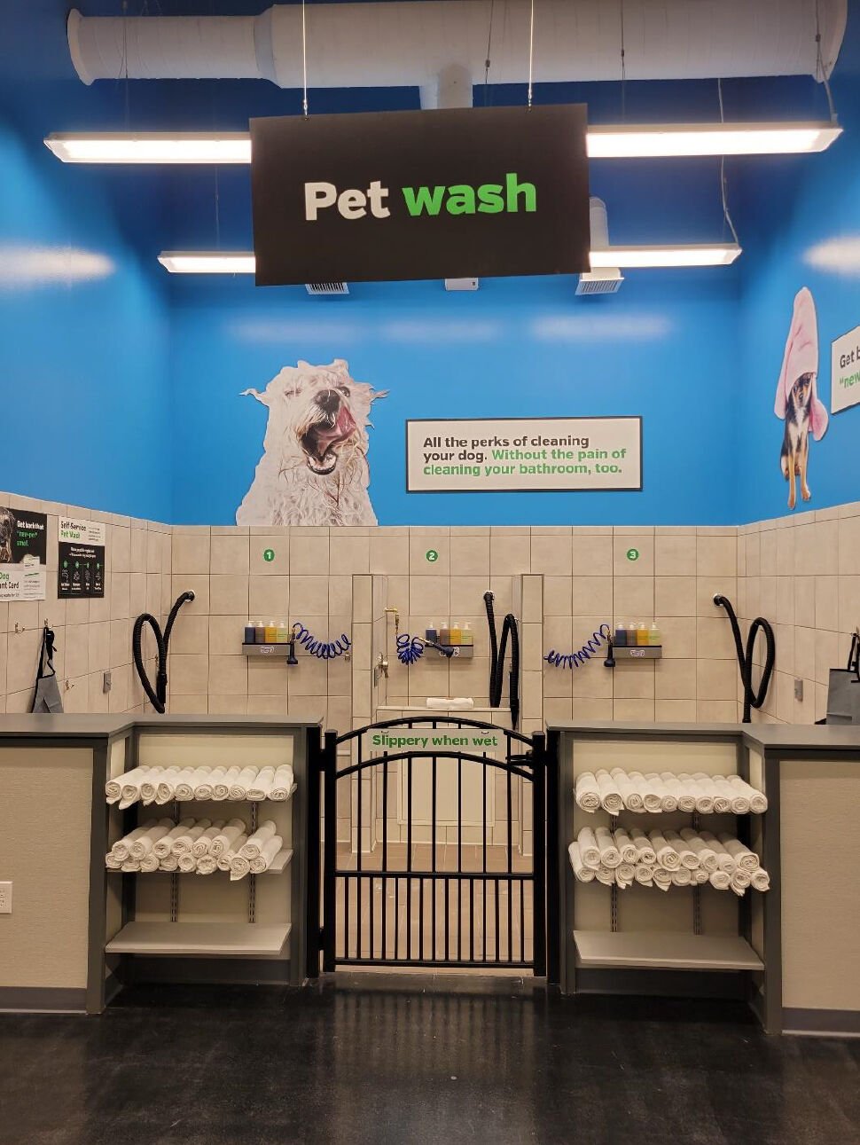 Pet supplies plus outlet dog wash near me