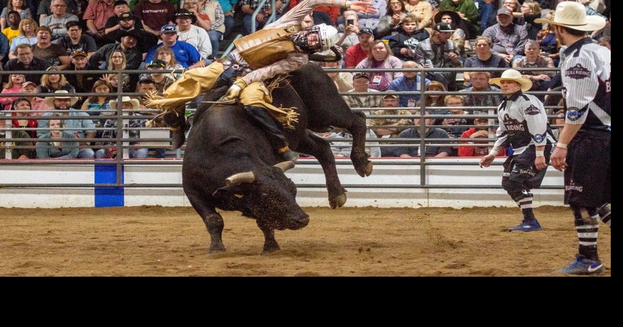 Sherburne County Fair to include professional bull riding Elk River