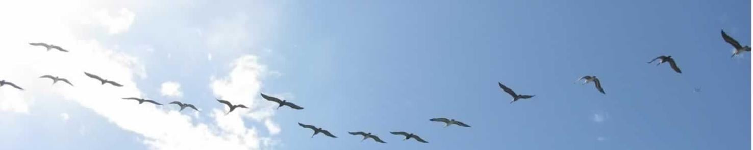 Obituaries | hometownsource.com