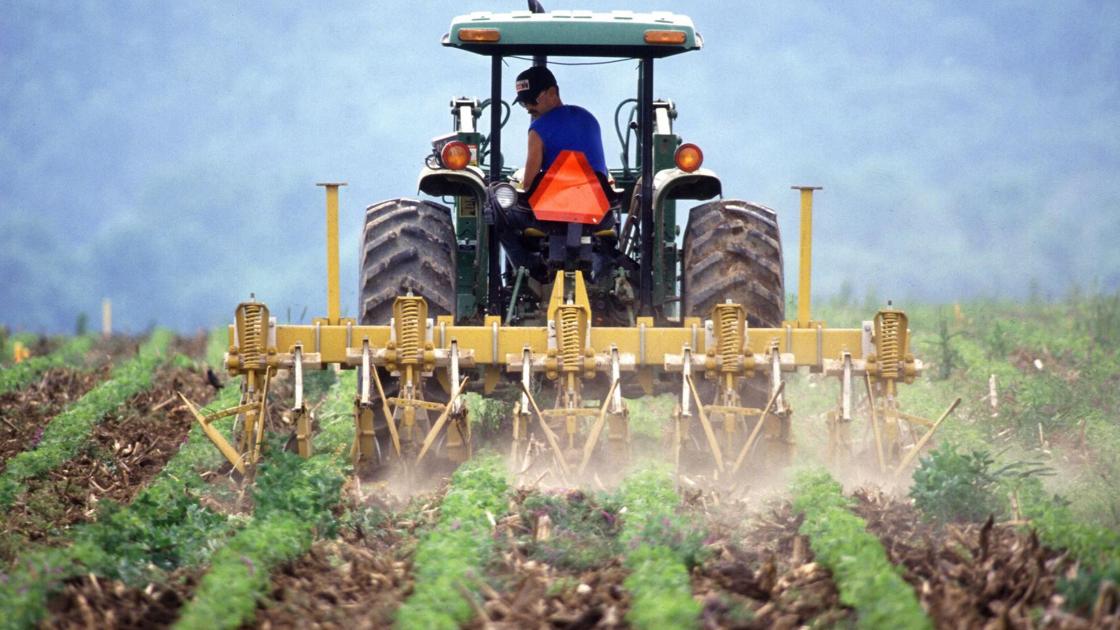 the future of the american agricultural The following five challenges to the future of agriculture and food security exist on almost every continent in one form or another: constraints on resources. the future of the american agricultural The following five challenges to the future of agriculture and food security exist on almost every continent in one form or another: constraints on resources.