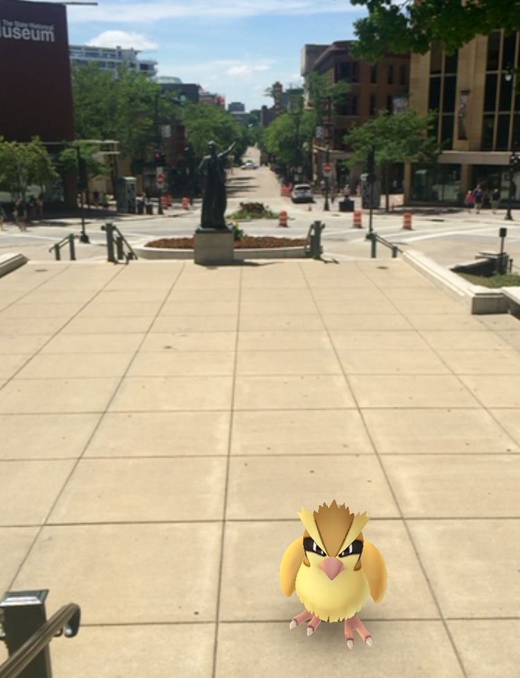 Pokemon go madison wi