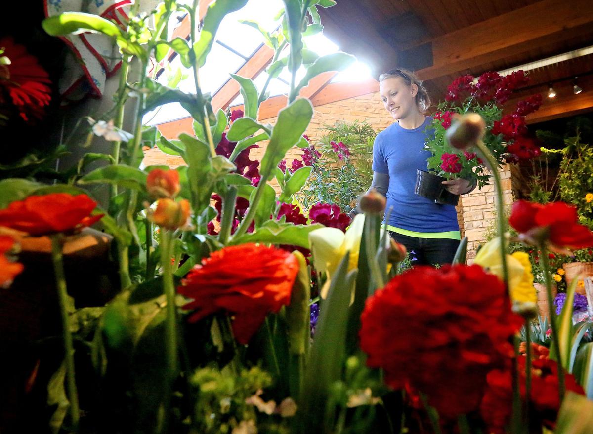Spring Floral Show