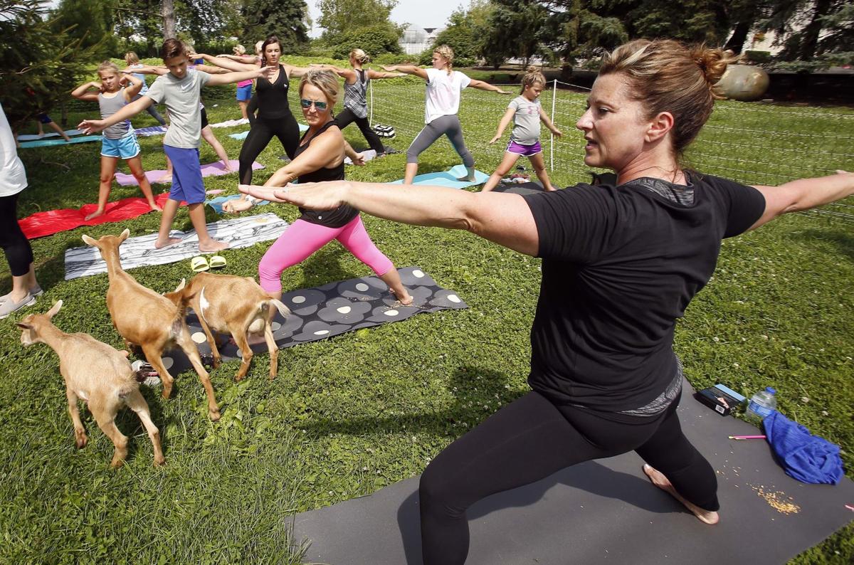 Exchange Goat Yoga