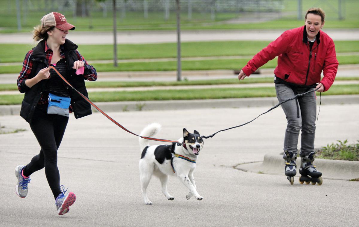 RollerDog0179MPKe