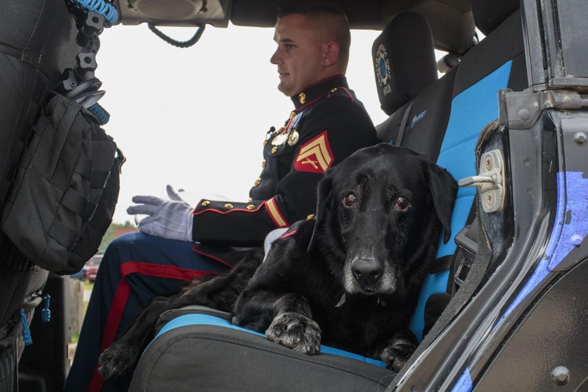 Military Dog Farewell
