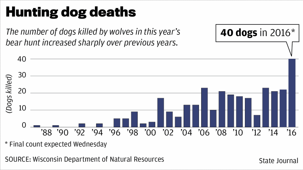 WI: Far more dogs killed in 2016 bear hunt than previous years | Timber ...