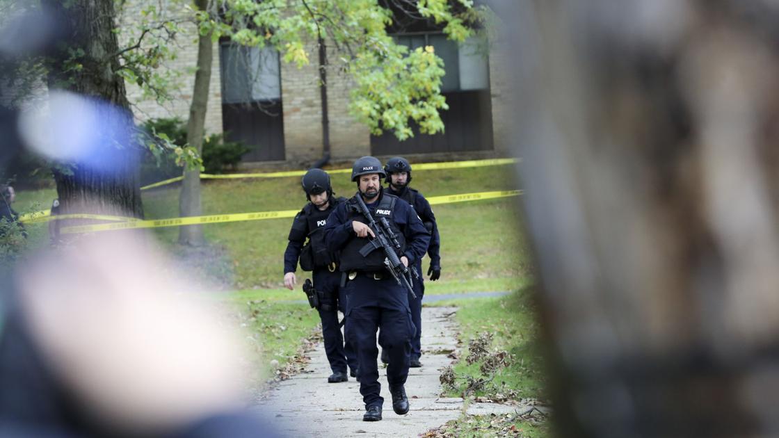 New Madison police procedures: Officers should exhaust all options before using a gun