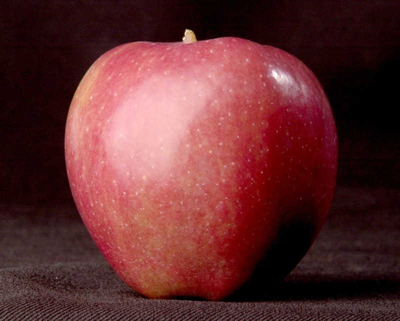 In season Wisconsin red delicious apples Dining