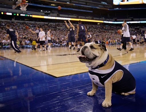 NCAA Men's Basketball: Butler's Bulldog Mascot Impounded For Regional ...