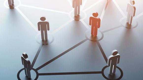 what is career networking