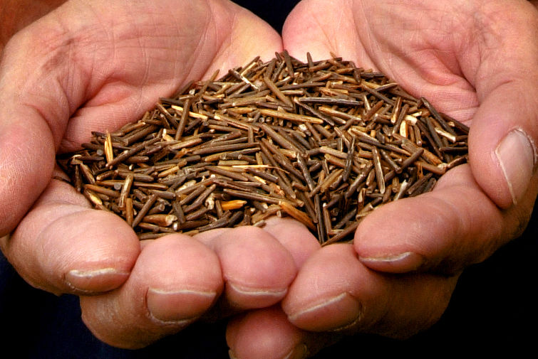 In Season: Wild rice | Lifestyles: Food, Home, Health | host.madison.com