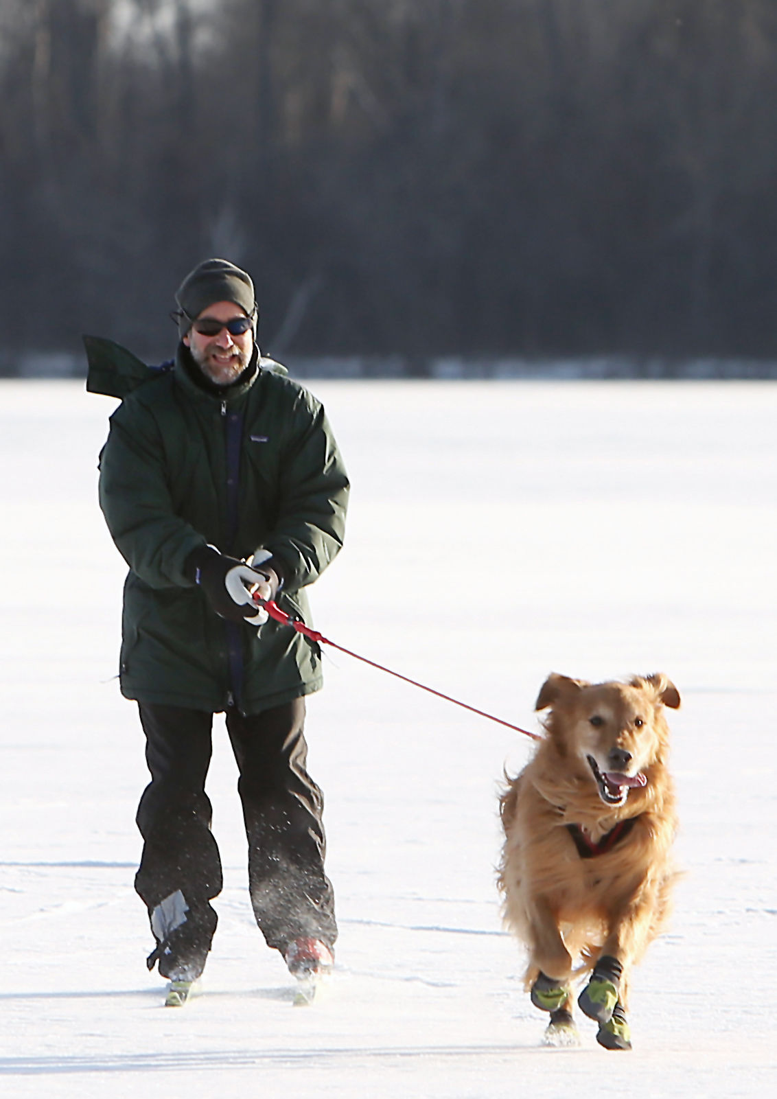 02skijoring0085AJA