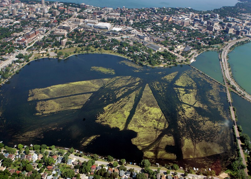 Monona Bay, 2007