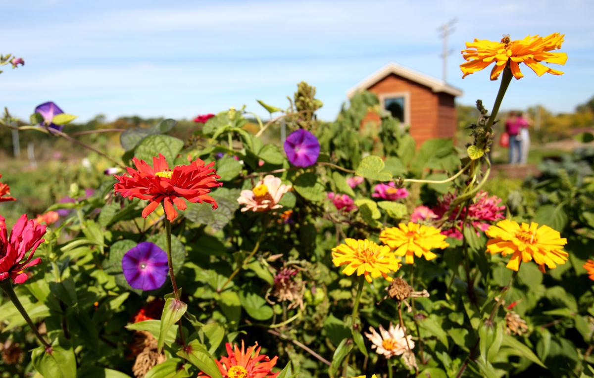 SHEBOYGAN GARDEN