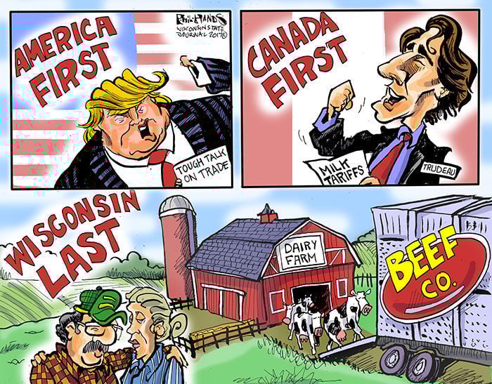 Image result for cartoons trump tariffs canada
