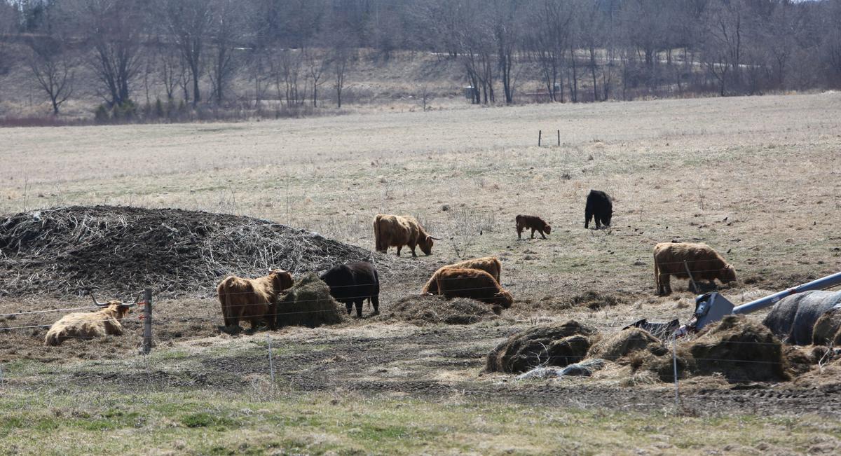 Farm raised: Diners demand grass-fed, locally grazed meat, and Wisconsin farmers want to give it to them