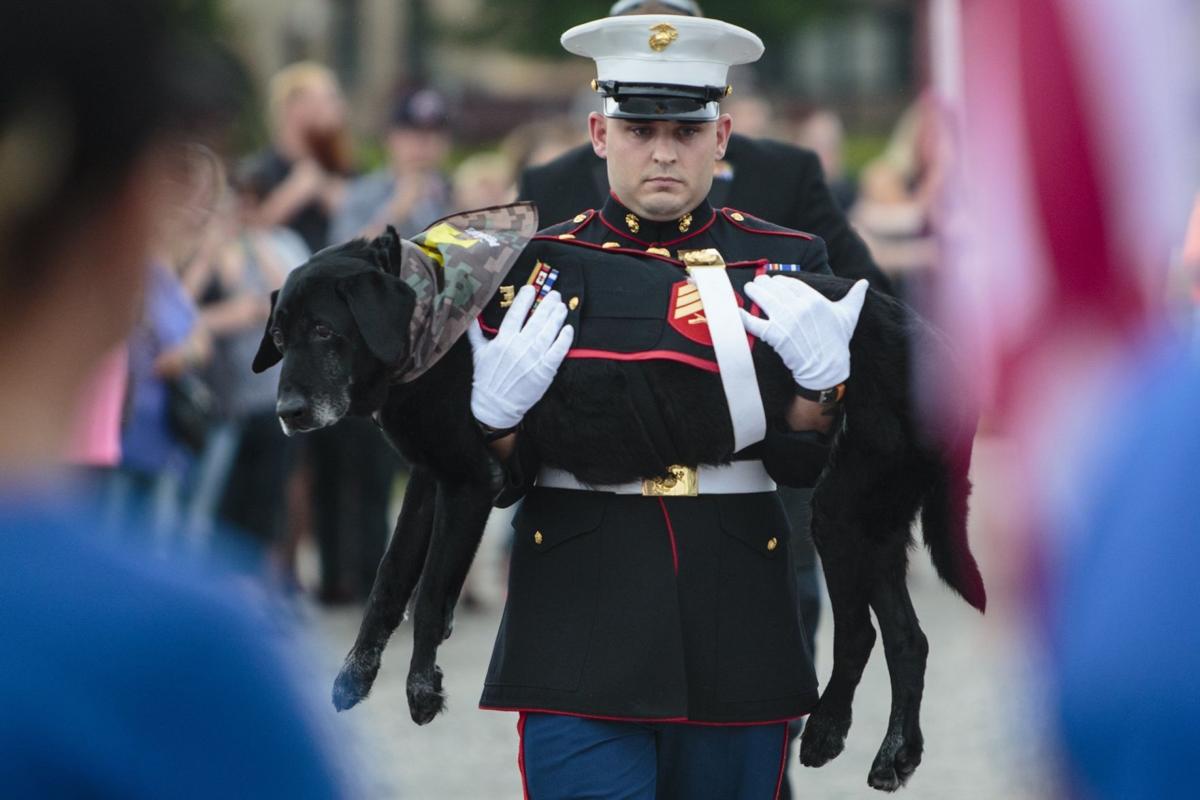 Military Dog Farewell