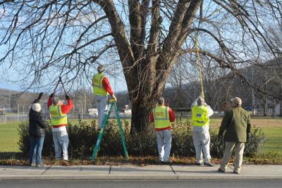 Sci Tree Tenders Help Beautify Huntingdon Streets Local Sci Tree Tenders Help Beautify