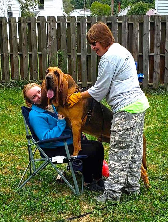 Retired bloodhounds best sale for adoption