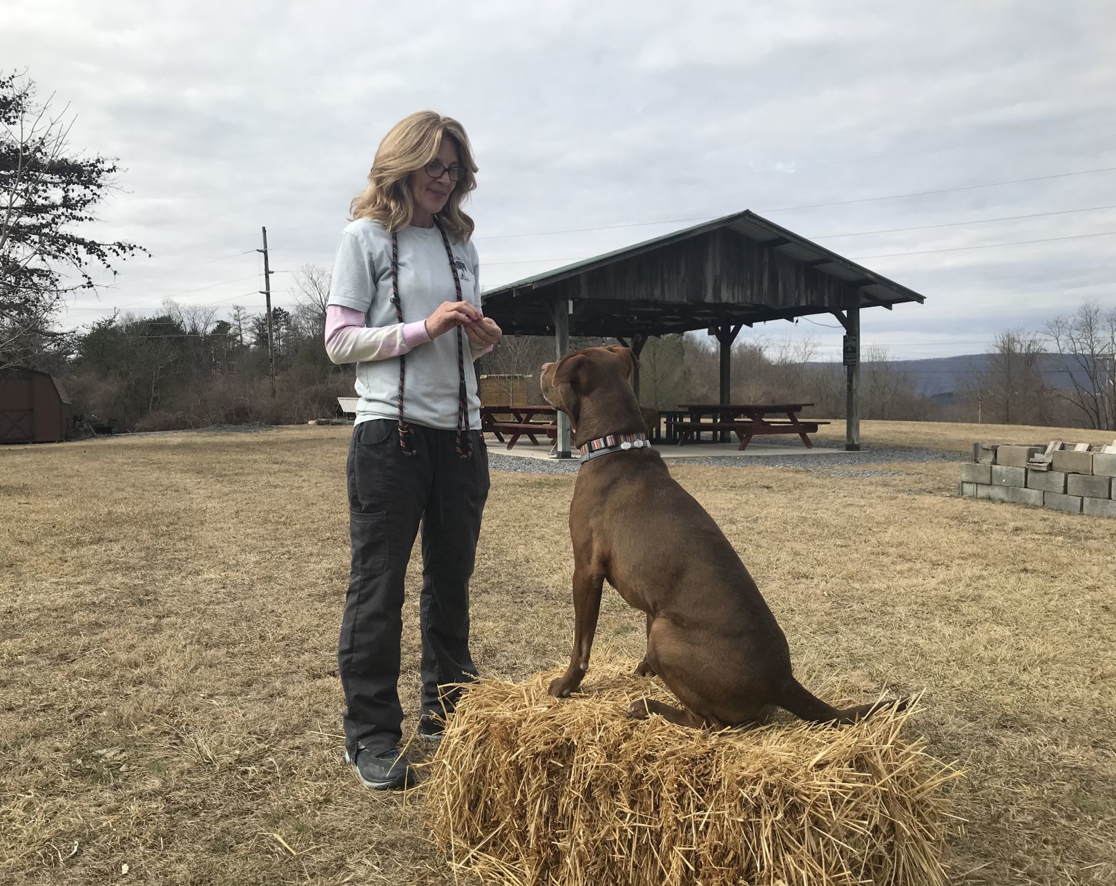 Trainer to visit Dogwood Dog Lodge 