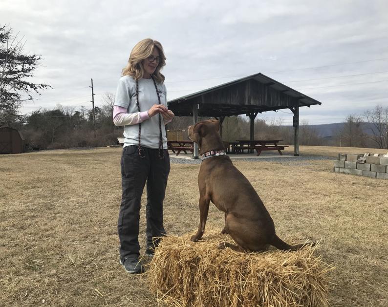 Trainer To Visit Dogwood Dog Lodge Business Huntingdondailynews Com
