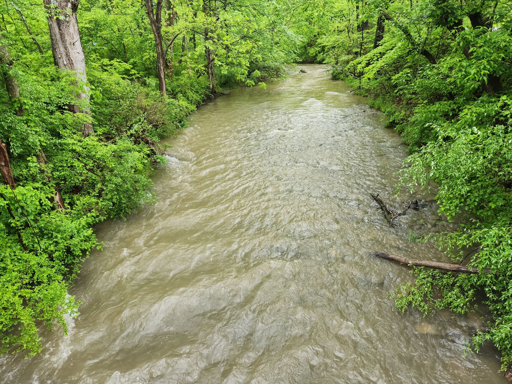 Area under areal flood watch Local
