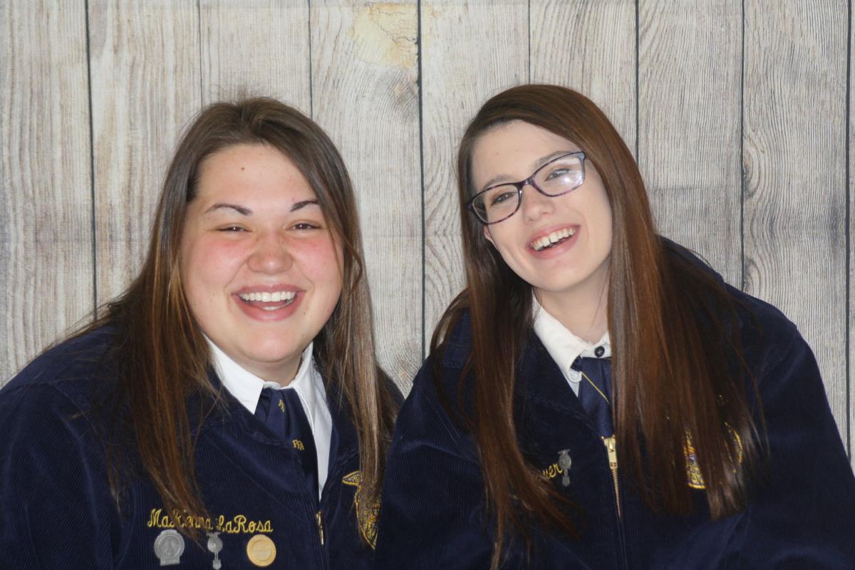 Tyrone Ffa Students Achieve Annual Chapter Awards News Huntingdondailynews Com Modified by georgia agricultural education curriculum office. huntingdon daily news