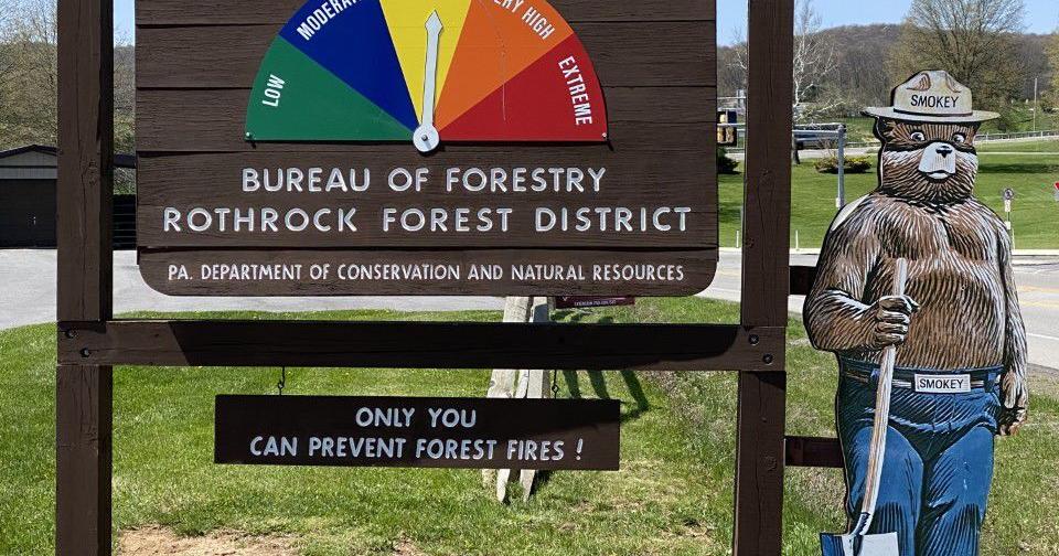 Wildfire danger increasing Local