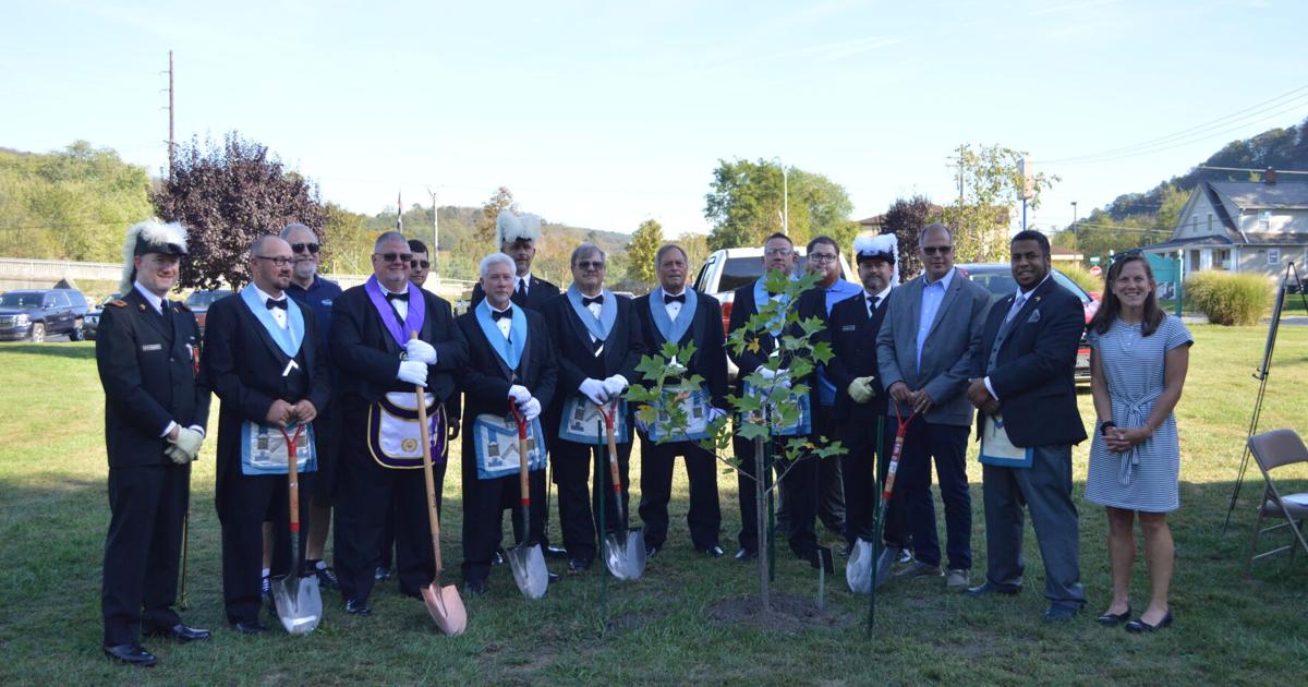Tree Proclamation Liberty Tree dedicated in honor of America's 250th birthday | Local ...