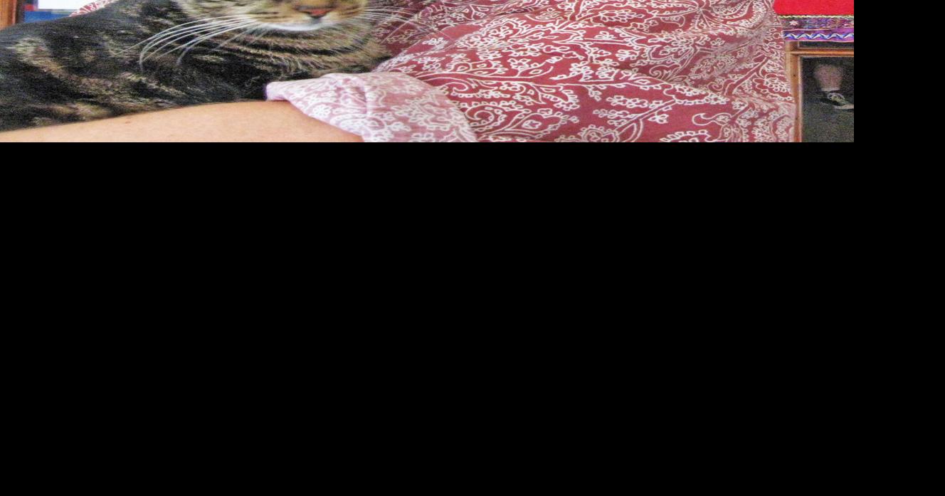 Huntingdon man still missing Local