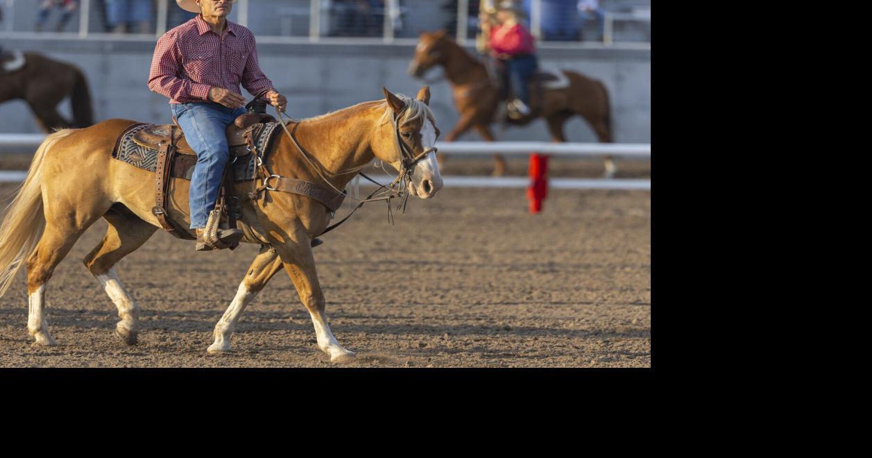 'A way of life': John Cook all-in on cowboy lifestyle, helping grow ...