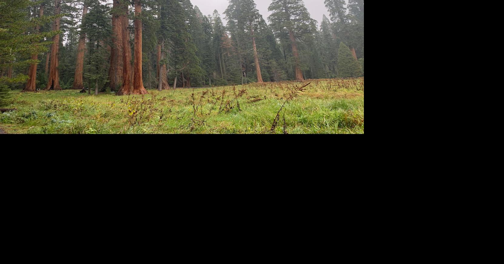 National park fees increase for foreign tourists